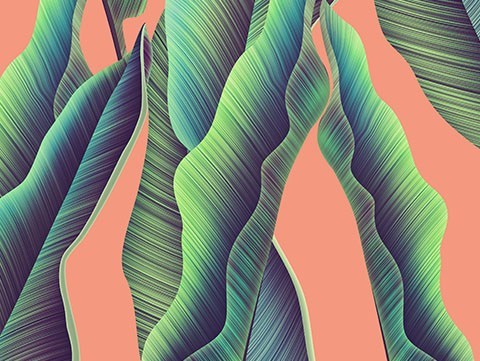 Untitled-6