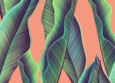 Untitled-5